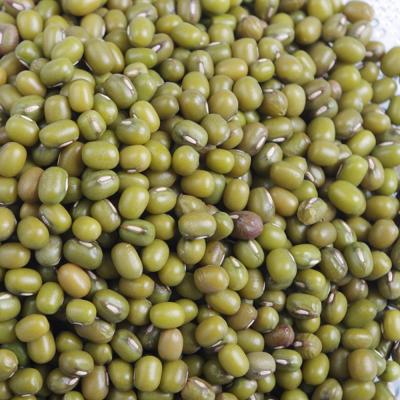 China No Addition Hot Sale Green Mung Beans For Sprouting for sale