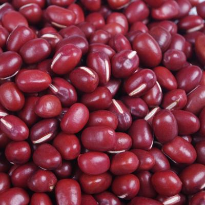 China No Addition Red Bean Adzuki Beans With Best Price for sale