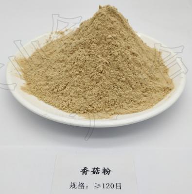 China Dietary Supplement 120 Mesh Raw Shiitake Mushroom Extract Powder for sale