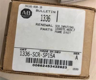 Cina Allen Bradley 1336-SCR-SP15A Rockwell Automation Input SCR in vendita