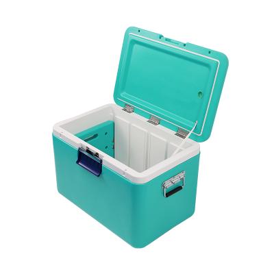 China Insulated Hot Sell Medicine Cold Storage Box Mini Plastic Vaccine Cooler Box 28L 33L 54L for sale