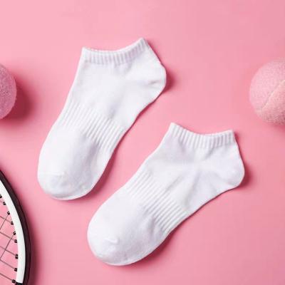 China Sporty Hot Sale Ladies Low Cut Girls Socks Custom Made Cotton Socks for sale