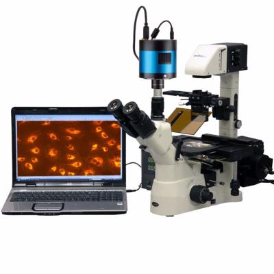 China AmScope Provides 40X-1500X Inverted Phase-Contrast + Fluorescence Microscope with 6MP Extreme Low IN480TC-FL-MF603 for sale