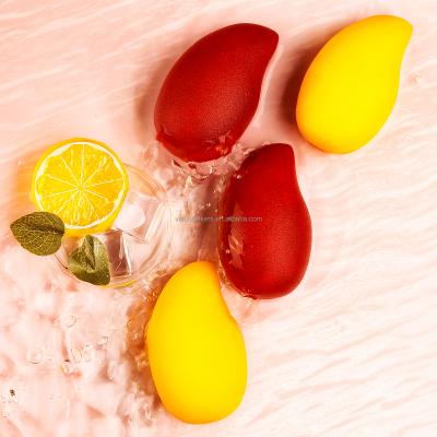 China New Design Fashionable Vegan Makeup Tool Facial Sponges Powder Foundation Makeup Sponge for sale