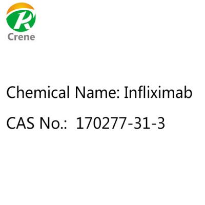 Chine Anticorps monoclonaux chimériques Infliximab Cas 170277-31-3 à vendre