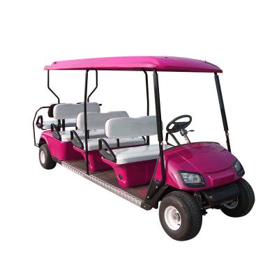 China Golf Place Private Label Custom High Quality Electric Golf Battery Charger Bus Shuttle Buggy Electric Golf Cart for sale