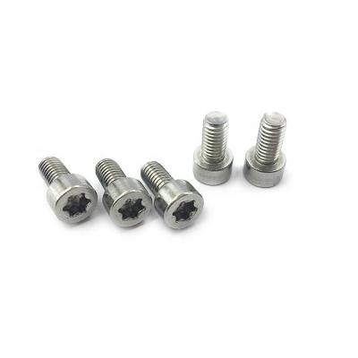 China Factory Price Stainless Steel Torx Socket Head Cap Screws for sale