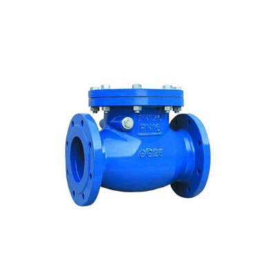 China General 2021 Wholesale Product - Swing Type Check Valve Weighted Check Valves for sale