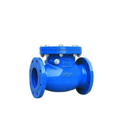 China General Long Life Valve Hose Wafer ANSI Manual Non Return Non Return Swing Check Valve PN16 for sale