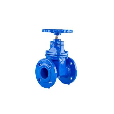 China General Cast Iron GG40 Sluice Stainless Steel Gate Valve for sale