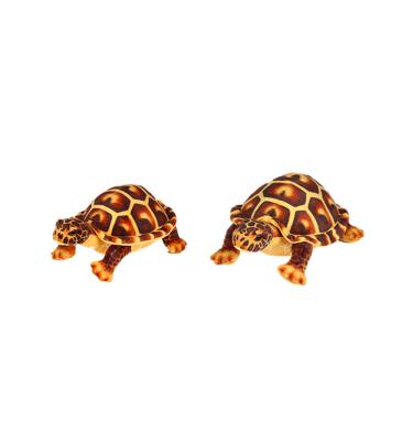 China Soft Toy Factory High Quality New Creative Herman Tortoise Plush Toy Stuffed Toy for sale