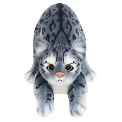 China 2020 soft toy maker cute soft cat toys hotselling popular animal toys plush toy childrengift and adorable for sale