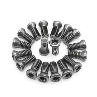 China M1.8 M2 M2.3 M3 M3.5 M4 SCM435 12.9 Lathe Tool Torx Screw CNC Tool Shaft Side Hole Torx Turning Screw for sale