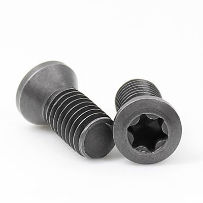 China 12.9 SCM435 Torx Alloy Steel CNC Lathe Tool Torx Screw CNC Tool Screw For CNC Machine Knife Handle for sale