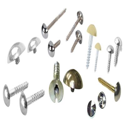 China Automobile Factory Price Screw Cover All Kind Decorative Screw Covers for sale