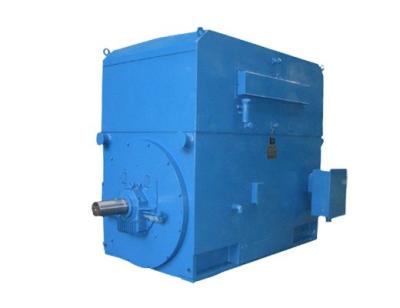 China Petroleum / Chemical Three Phase Asynchronous Motor High Efficiency Motor for sale