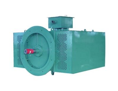 China Vertical Three Phase Asynchronous Motor High Efficiency For Power Station for sale