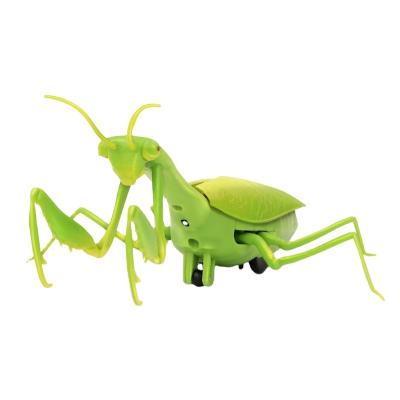 China 2.4G High Simulation RC Mantis Remote Control Radio Control Toys Infrared Lights Insect Mantis Insect Radio Control Animal Toys For Children for sale