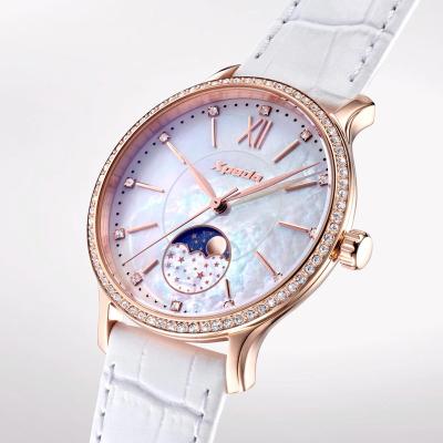 China Analog Moon Phase TIMEBOX TC798A Wrist Watch Women Quartz Wrist Watch Elegance Stainless Ladies Moon Phase Watches Steel for sale