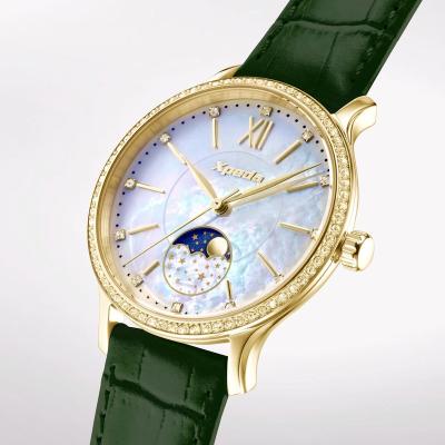 China TIMEBOX TC798G Analog Moon Phase Wrist Watch Women Quartz Wristwatch Elegance Watches Stainless Ladies Moon Phase Watches Steel for sale