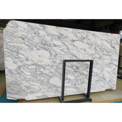 China Modern Natural Marble Italy Arabescato Price Arabescato Marble White Marble for sale