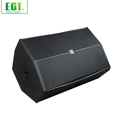 China Active Speaker Class D Amplifying Birch Plywood 15