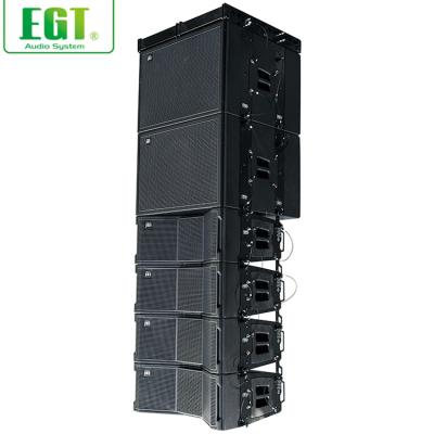 China Outdoor / Indoor Passive Line Array Maple Plywood E-LY208 Professional Audio Sound Equipment Speaker for sale