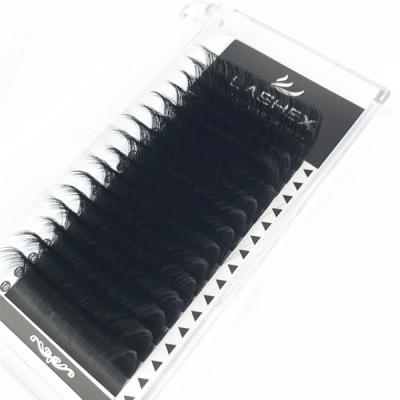 China Lashex 0.03-0.20 Thickness Light Jet Black High Quality Mink Lashes Individual Eyelash Whips Soft Eyelash Extension for sale