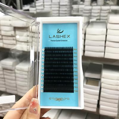 China Feather Black Lashes Classic Eyelash Extension Tip Eyelash Extension Wholesale OEM Single Eyelashes for sale