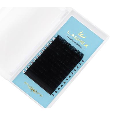 China Thick Lashex Camellia Lashes Mixed Length J C D B Curl Eyelash Extension for sale