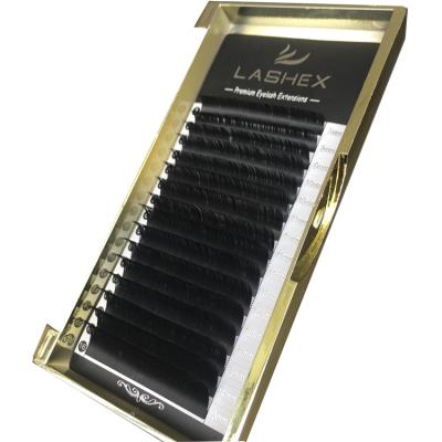 China J Sip-Sweet Since C D L Loop Lash Extensions Individual Private Label Flat 0.03 0.07 Korea Eyelash Extensions for sale