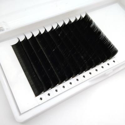 China Wholesale Good Quality Flat Eyelash Extension Real Dimentional Ellipse Silk Lashes for sale