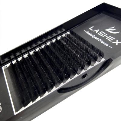 China 0.15 D Rings Dimentional Matte Black Ellips Volume Individual Luxury Deep Lashes Silk Eyelash Extensions for sale