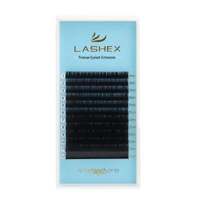 China Full Volume Lashex Foil Back Natural Black Cashmere 0.02 0.03 0.04 0.5 Lash Extension Mink Lashes Trays for sale