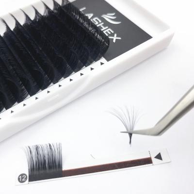 China Dimentional Eyelash Extensions Fan Eyelashes Easy Fan Lash Empty Eyelash Tray Mink Two Tips Matte 0.20 Classic Lashes for sale