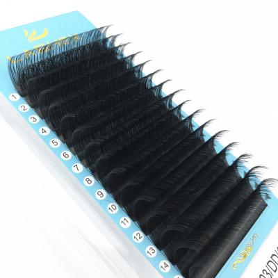 China Dimentional Good Quality Private Label Korea Silk Classic Lashes Clean Brand Eyelashes Waterpoof Lashes for sale