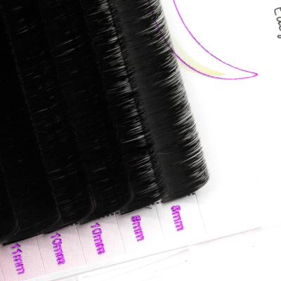 China Natural Hot Selling Long Double Density Quick Curl Fanning 0.07 Easy Fan Blooming Eyelashes for sale