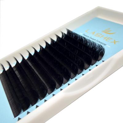 China Easy Blooming Easy Fan Lash Extensions, 0.03 0.05 0.07 Fan Dimentional Auto Blooming Fan Lashes Wicks for sale