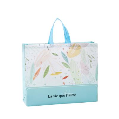 China Eco Friendly Eco Friendly Products Polypropylene Non Woven Foldable Shopping Bag for sale