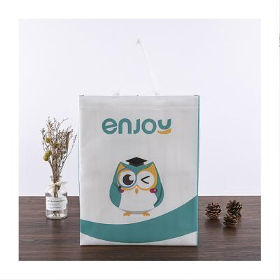 China Eco-friendly Main Price Eco Cheap Supermarket Bags ShoppingBolsas PP Laminated Non Woven Bags for sale