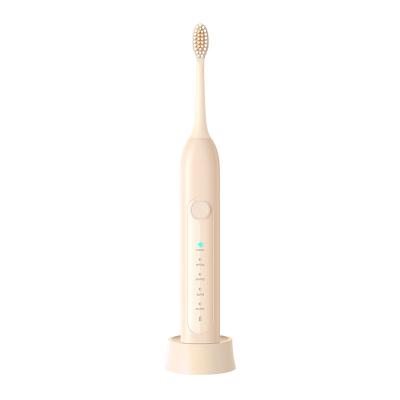 China ABS. Waterproof Multi-speed Ultrasonic Vibration Toothbrush IPX7 Electric Toothbrush New Electric Toothbrush Business for sale