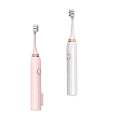 China ABS+Dupont Nylon Bristle Sonic Electric Toothbrush Smart Dental Care Improved Ultrasonic Cleaning Toothbrush for sale