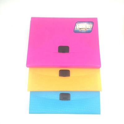 China Eco - Friendly New Products Fashionable Waterproof PP Folder 12 Sleeves Expanding Folders With Luxury Buckle for sale