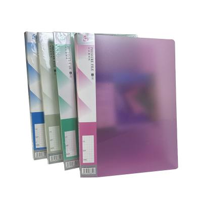 China 100% Hot Sale Eco-friendly Color A4 Size Office Metal Clip Plastic PP Transparent Folders Hold Binder Folder for sale