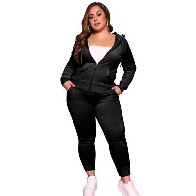 China Casual Factory Wholesale Korean Velvet Anti-pilling Solid Color Plus Size 2 Piece Women Jogging Set Drop for sale