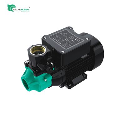 China Developing World Water Solutions New Design Energy Saving Household Water Supply No Noise Frequency Adjustable Automatic Intelligent Variable Water Pump for sale