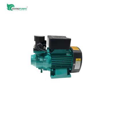 China Developing World Water Solutions Household 0.5 Hp Electric Motor Small Mini Water Pumps Pumps Clean Water for sale