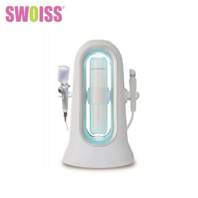 China Mini Multifunction Beauty Machine Hydrogen Oxygen Small Bubble Facial Clean Machine for sale