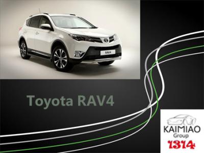 Cina Installazione semplice di punti laterali del veicolo elettrico di Toyota RAV4 2 anni di garanzia in vendita