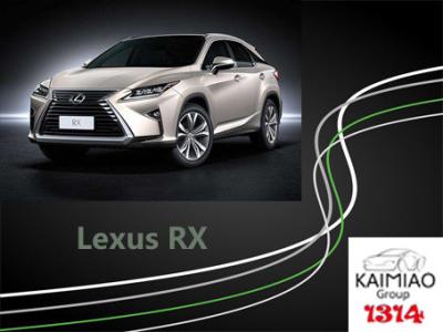 Cina I punti laterali elettrici di Lexus RX Faishon, porta automatica fa un passo UL MSDS di ROHS in vendita